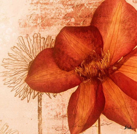 Rouge Pressed Flowers I Black Ornate Wood Framed Art Print with Double Matting by Pinto, Patricia