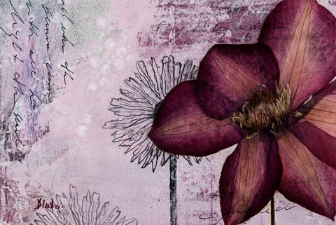 Pressed Flowers I Black Ornate Wood Framed Art Print with Double Matting by Pinto, Patricia