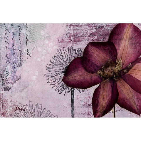 Pressed Flowers I Black Modern Wood Framed Art Print by Pinto, Patricia