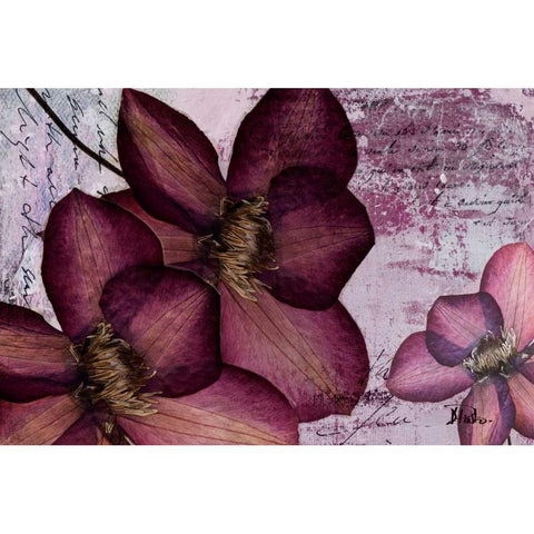 Pressed Flowers II Black Modern Wood Framed Art Print with Double Matting by Pinto, Patricia