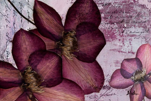 Pressed Flowers II Black Ornate Wood Framed Art Print with Double Matting by Pinto, Patricia