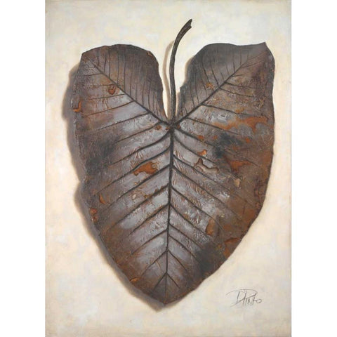 Mafafa I Black Modern Wood Framed Art Print with Double Matting by Pinto, Patricia