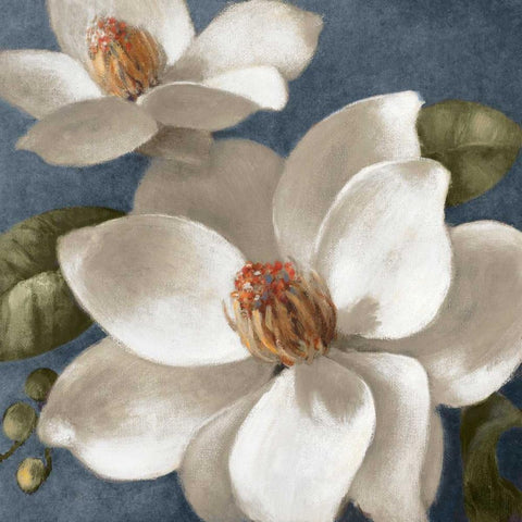 Magnolias on Blue I Black Modern Wood Framed Art Print with Double Matting by Loreth, Lanie