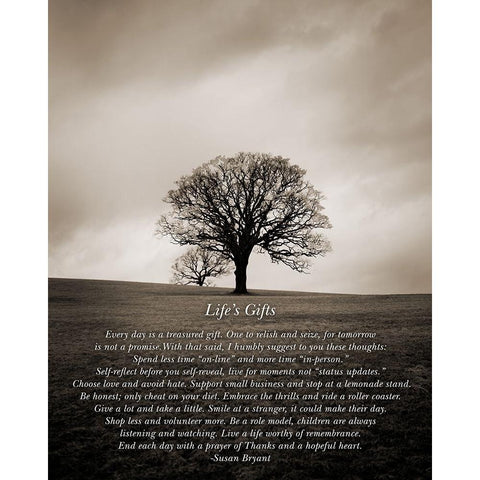 Lifes Gifts White Modern Wood Framed Art Print by Johnson, Ian