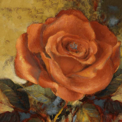 Spicy Rose II White Modern Wood Framed Art Print by Loreth, Lanie