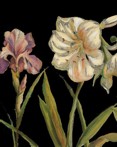 The Garden At Night I Black Ornate Wood Framed Art Print with Double Matting by Pinto, Patricia