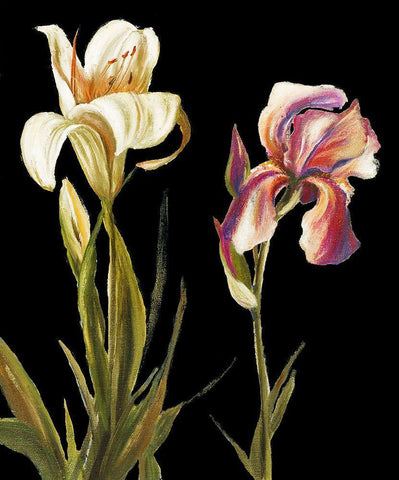 The Garden At Night II Black Ornate Wood Framed Art Print with Double Matting by Pinto, Patricia