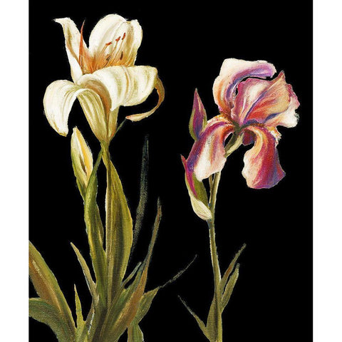 The Garden At Night II Black Modern Wood Framed Art Print by Pinto, Patricia