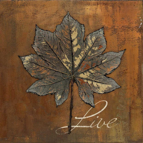 Maple Live Black Ornate Wood Framed Art Print with Double Matting by Pinto, Patricia
