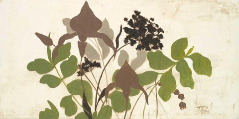 Spring Shadows I Black Ornate Wood Framed Art Print with Double Matting by Pinto, Patricia