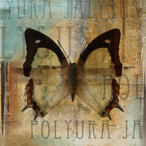 Polyurabutterfly I White Modern Wood Framed Art Print by Pinto, Patricia