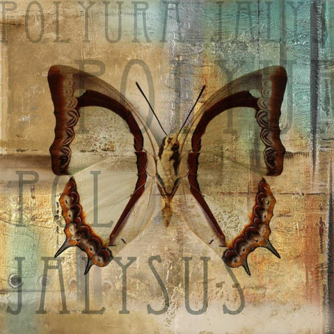 Polyurabutterfly II White Modern Wood Framed Art Print with Double Matting by Pinto, Patricia