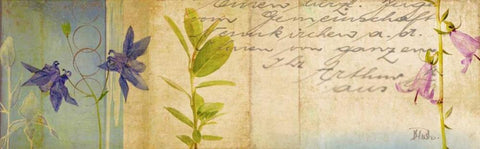 Wildflower Panel I White Modern Wood Framed Art Print with Double Matting by Pinto, Patricia