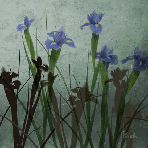 Blue Irises I Black Modern Wood Framed Art Print by Pinto, Patricia