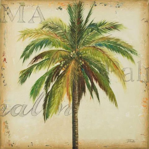 La Palma I White Modern Wood Framed Art Print by Pinto, Patricia