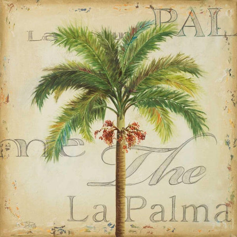 La Palma II White Modern Wood Framed Art Print by Pinto, Patricia