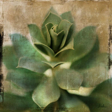 Succulent I White Modern Wood Framed Art Print by Pinto, Patricia