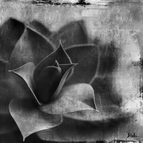 BW Succulent Border II Black Modern Wood Framed Art Print by Pinto, Patricia
