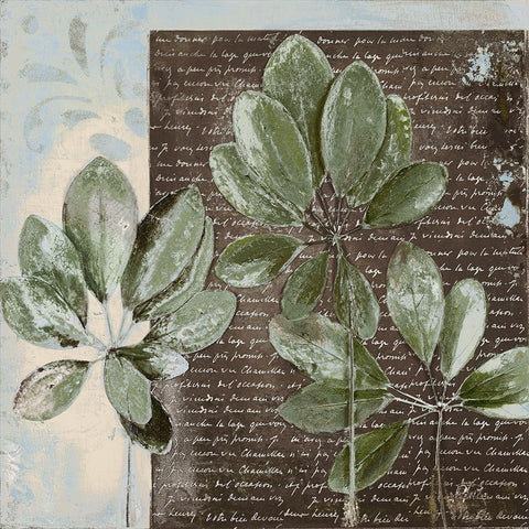 Botanica on Blue I White Modern Wood Framed Art Print with Double Matting by Pinto, Patricia