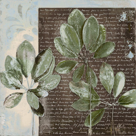 Botanica on Blue I Black Modern Wood Framed Art Print by Pinto, Patricia