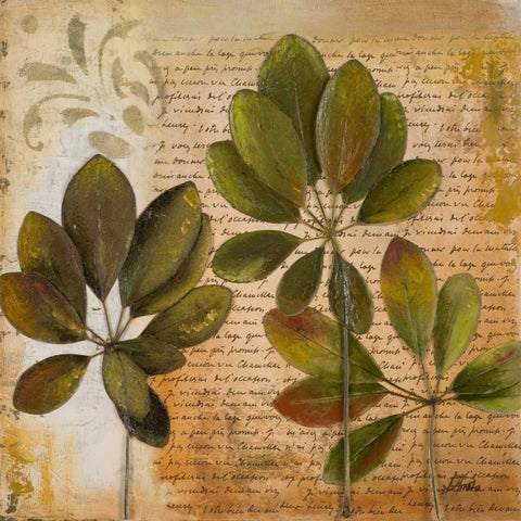 Botanica I White Modern Wood Framed Art Print by Pinto, Patricia