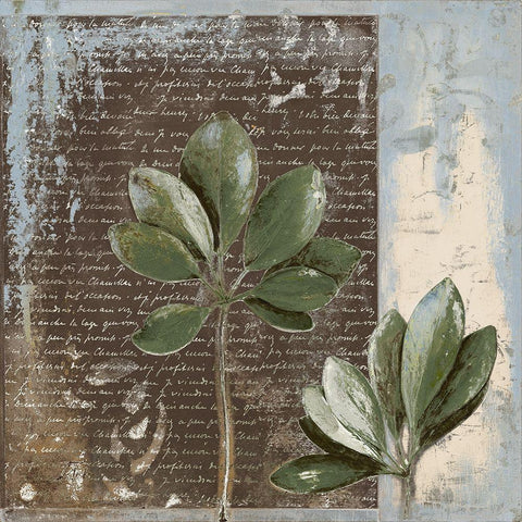 Botanica on Blue II Gold Ornate Wood Framed Art Print with Double Matting by Pinto, Patricia