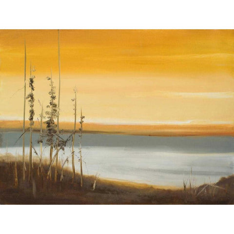 Early Morning II White Modern Wood Framed Art Print by Arenas, Nelly