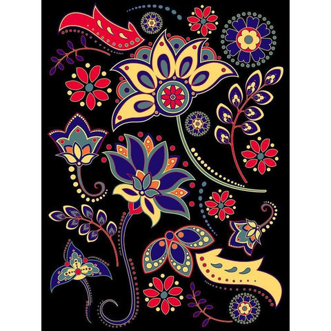 Floral Fiesta Black Modern Wood Framed Art Print with Double Matting by Josefina