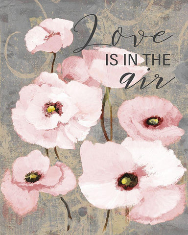 Kindles Blush Poppies I Black Ornate Wood Framed Art Print with Double Matting by Loreth, Lanie