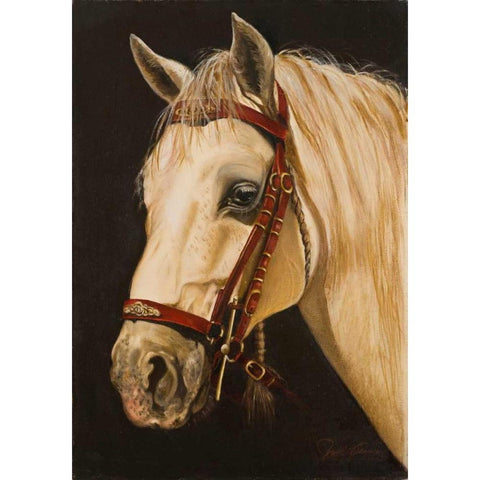 Horse Black Modern Wood Framed Art Print with Double Matting by Arenas, Nelly