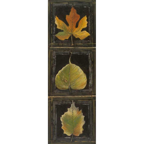 Three Leaves I Black Modern Wood Framed Art Print with Double Matting by Pinto, Patricia