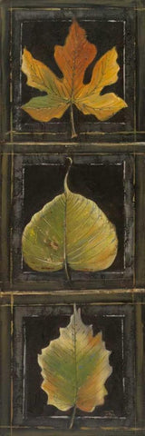 Three Leaves I White Modern Wood Framed Art Print with Double Matting by Pinto, Patricia