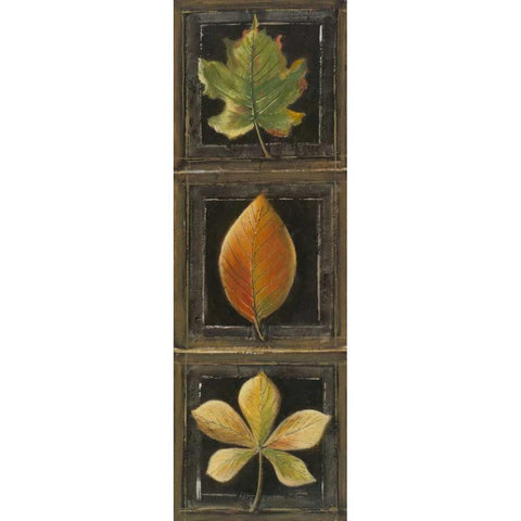 Three Leaves II Black Modern Wood Framed Art Print by Pinto, Patricia