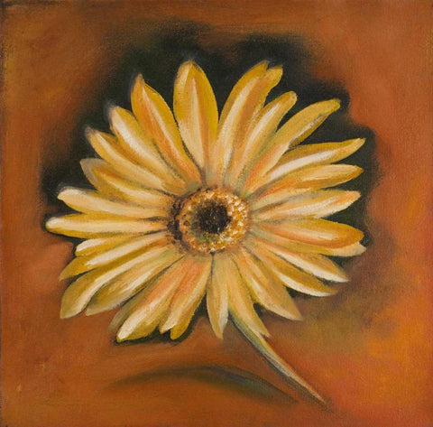 Daisy Collection I White Modern Wood Framed Art Print with Double Matting by Arenas, Nelly