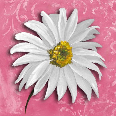 Blooming Daisy III White Modern Wood Framed Art Print by Pinto, Patricia