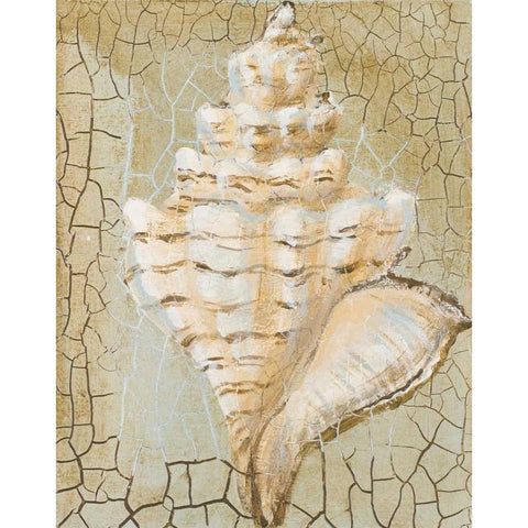 Seashell I White Modern Wood Framed Art Print by Hakimipour-Ritter