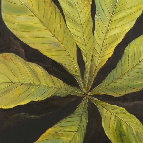 Evergreen I Black Modern Wood Framed Art Print by Pinto, Patricia