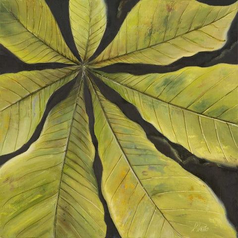 Evergreen II Black Modern Wood Framed Art Print by Pinto, Patricia