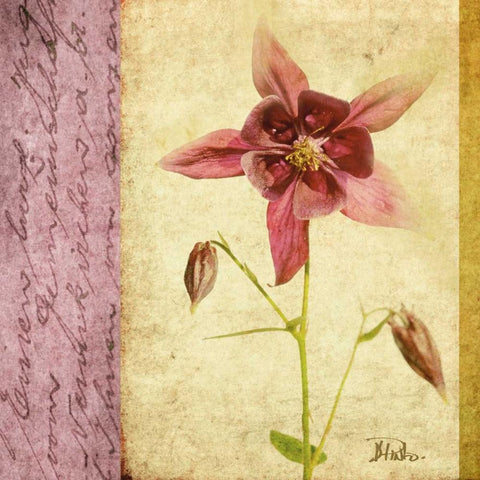 Vintage Diary Square I Gold Ornate Wood Framed Art Print with Double Matting by Pinto, Patricia