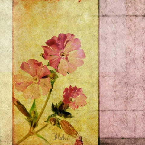 Vintage Diary Square II Black Modern Wood Framed Art Print by Pinto, Patricia