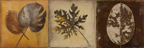 Natural Panel I Black Ornate Wood Framed Art Print with Double Matting by Pinto, Patricia