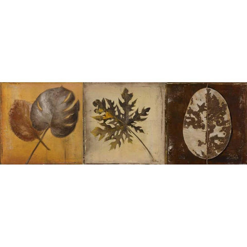 Natural Panel I Black Modern Wood Framed Art Print by Pinto, Patricia