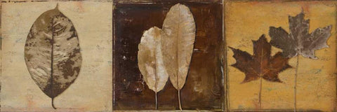 Natural Panel II White Modern Wood Framed Art Print with Double Matting by Pinto, Patricia