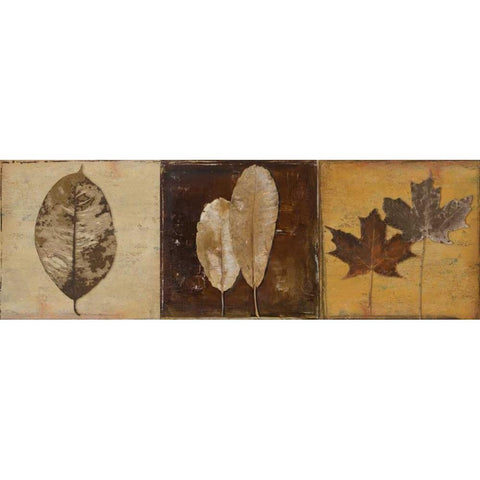 Natural Panel II Black Modern Wood Framed Art Print by Pinto, Patricia