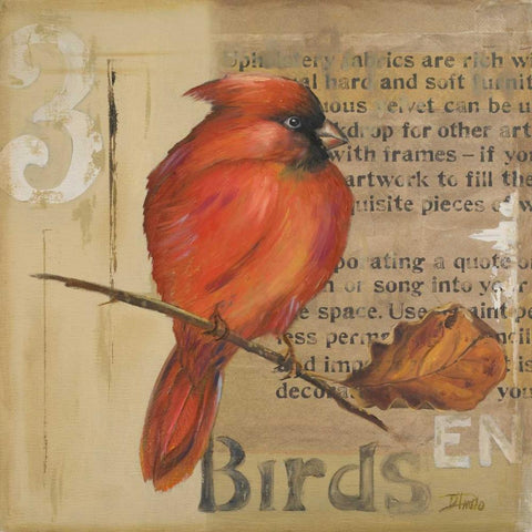 Red Love Birds II White Modern Wood Framed Art Print with Double Matting by Pinto, Patricia