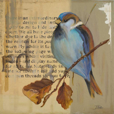 Blue Love Birds I White Modern Wood Framed Art Print with Double Matting by Pinto, Patricia