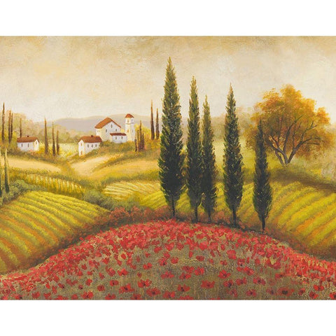 Flourishing Vineyard II Black Modern Wood Framed Art Print with Double Matting by Marcon, Michael