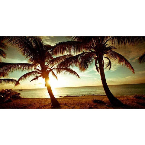 Bimini Sunset Gold Ornate Wood Framed Art Print with Double Matting by Bryant, Susan