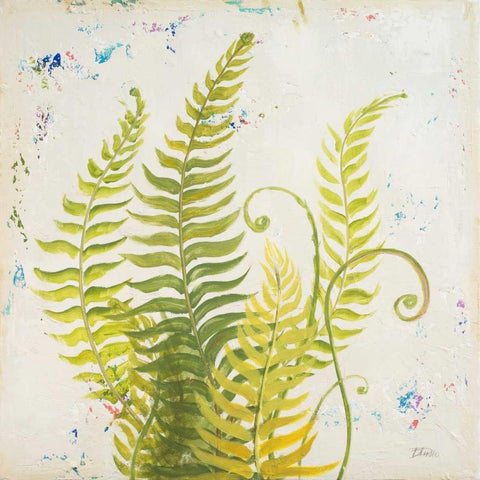 Nice Ferns II Black Modern Wood Framed Art Print by Pinto, Patricia