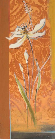 Fancy Floral II White Modern Wood Framed Art Print with Double Matting by Pinto, Patricia